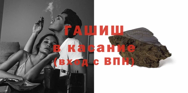 гашик Алексин