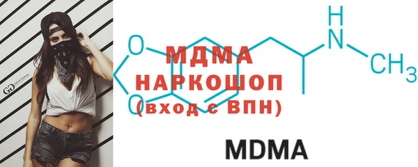 гашик Алексин