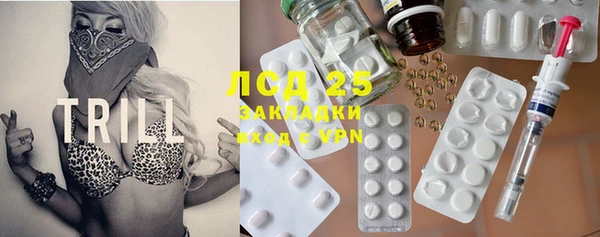 гашик Алексин