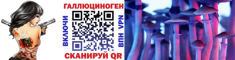 Галлюциногенные грибы Psilocybe  купить наркотик  Чадан 